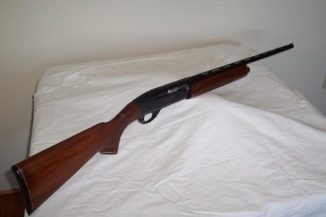  Remington 1100 viviendo en el Olimpo 

Si la Auto-5 es el embrión de todas las escopetas inerciales, 71