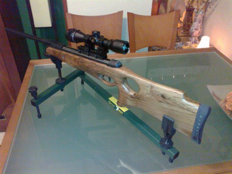 os parece esta carabina,seguro que sabeis cual es. 00