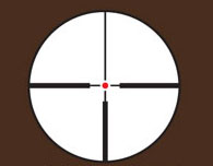 Quiero comprar este visor : Leupold VX-R 1.25-4x20 FireDot German #4 Illuminated Reticle y quisiera que 171