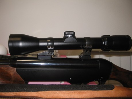 Buenas tardes a todos.
No se si es el foro idóneo, pero lanzo la cuestión.
Pues resulta que tengo un Benelli 91