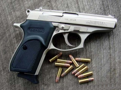hola, ando buscando un arma corta del cal. 22 que sea pequeñita y facil de portar.
Solo he visto la taurus 30