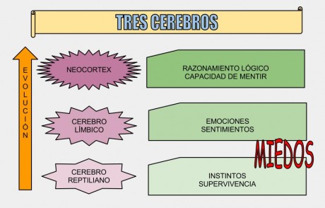 Este es el resultado de un ejercicio de reflexión. Lo pongo en el foro para que lo tumbéis, modifiquéis 140