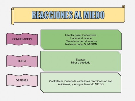 Este es el resultado de un ejercicio de reflexión. Lo pongo en el foro para que lo tumbéis, modifiquéis 150
