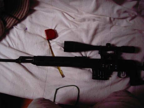 Buenas noches he decidido montar un bushnell 5-15x50 en mi tiger .Le he montado unas bases y le he puesto 40