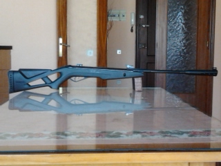 pido consejo a los compañeros del foro, poseo una whisper 5,5 igt que le tengo puesto un visor gamo 4x32 40