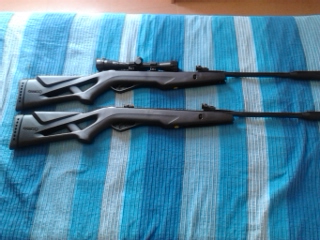 Hola, estoy interesado en comprarme una carabina con silenciador del 5.5. e pensado en la whisper x 5.5. 50