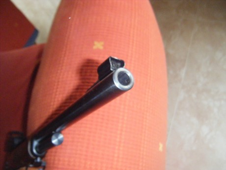 Hola,he decidido vender mi marlin 444,ya que he comprado un merkel en 9´3x62 y ya no le voy a dar mucho 02