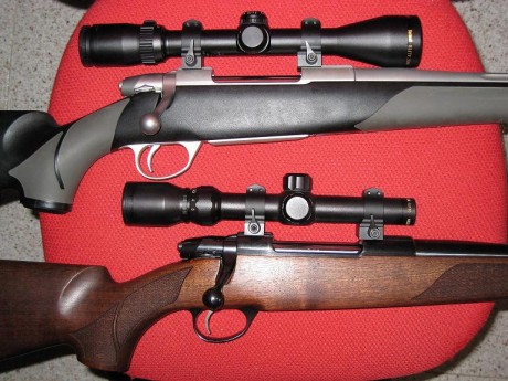 Hola necesito saber si puedo montar unas warne en mi sako 75 hunter, acabo de comprar un visor zeiss duralyt 10