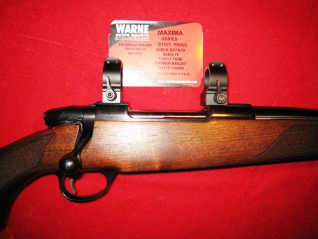 Hola necesito saber si puedo montar unas warne en mi sako 75 hunter, acabo de comprar un visor zeiss duralyt 31