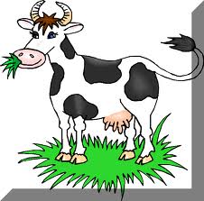 Buenas.
Alguien me puede decir ¿Donde puedo conseguir grasa de vaca sin salar?
Vkvo en Getafe (Madrid).
He 110