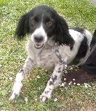 Hola a tod@s.
Abro este hilo para pedir que ayudeis en lo que podais, da igual si son mantas, pienso, 91