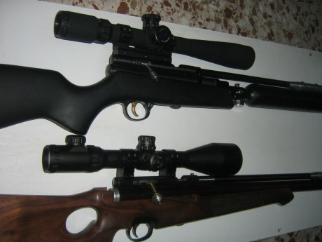 PUES AHI ESTAN LAS DOS , LA DE MADERA EN .25 Y LA NEGRA EN .22
LA NEGRA MIDE 92 CM DE LARGA, VAMOS UNA 01