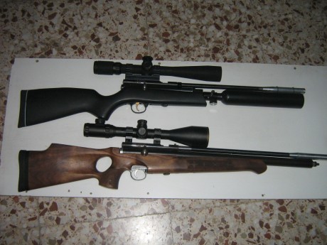 PUES AHI ESTAN LAS DOS , LA DE MADERA EN .25 Y LA NEGRA EN .22
LA NEGRA MIDE 92 CM DE LARGA, VAMOS UNA 00