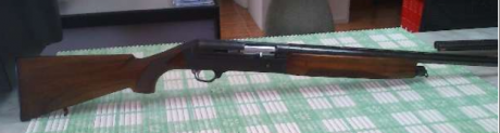 Hola, me venden dos escopetas, me gustaria saber qe tipo es la benelli y opinion de como estan a vuestro 02