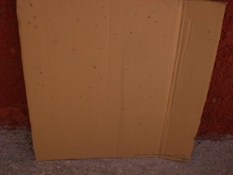 pues eso me gustaria hacer un recopilatorio de tablas de recarga para escopeta.

Para empezar ahí os pongo 110