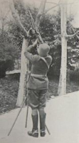 Hace unos días encontré por casualidad en una web extranjera un arma a la venta que hacía muchos años 62
