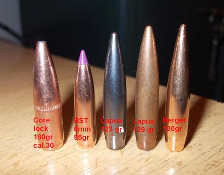 Que rifles  modernos  se pueden comprar en España en 6.5X55 ? :roll: 90