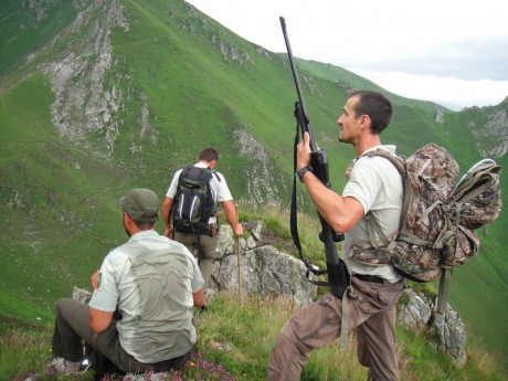 Buenos días,

Me gustaría saber que opciones existen para poder cazar un rebeco en los Picos de Europa. 152