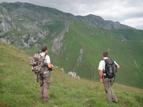 Buenos días,

Me gustaría saber que opciones existen para poder cazar un rebeco en los Picos de Europa. 151