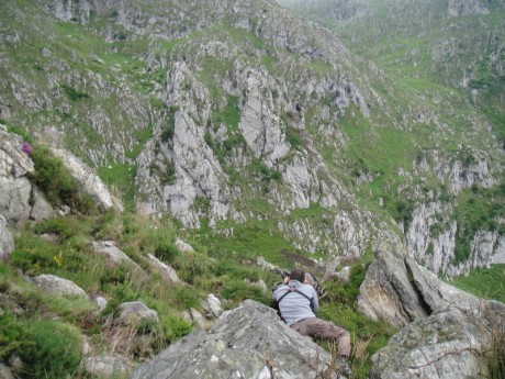 Buenos días,

Me gustaría saber que opciones existen para poder cazar un rebeco en los Picos de Europa. 161