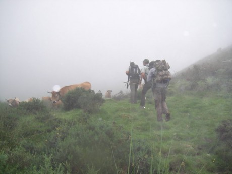 Buenos días,

Me gustaría saber que opciones existen para poder cazar un rebeco en los Picos de Europa. 172