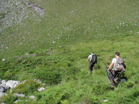 Buenos días,

Me gustaría saber que opciones existen para poder cazar un rebeco en los Picos de Europa. 171