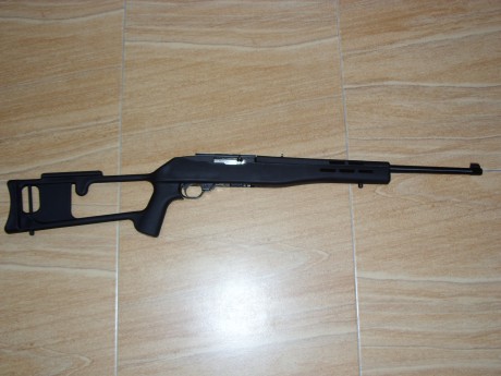 :band: 
Carabina Ruger 10/22 Estado como nuevo, ni un rasguño.  
Tiene montada una culata sintética,para 01
