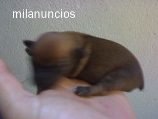 Bueno compañeros, he creído acertado abrir un hilo para los insomnes y para todos aquellos noctámbulos 40