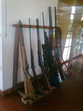 Hola a todos , quería resolver una dudilla que tengo ... tengo varias carabinas respectivamente bien guardadas 70