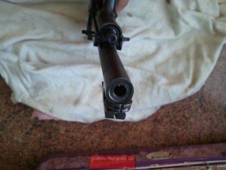 hola,lo unico que puedo ofrecerte es mi experiencia pues una vez pude tener oportunidad de tirar con ella.
Para 62