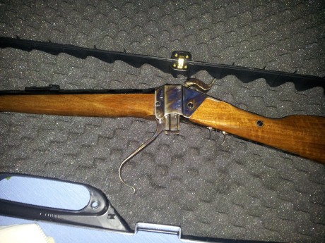 Hola a todos,
Acabo de adquirir un Sharps de Chiappa, en calibre 451, tengo una duda sobre el casquillo 20