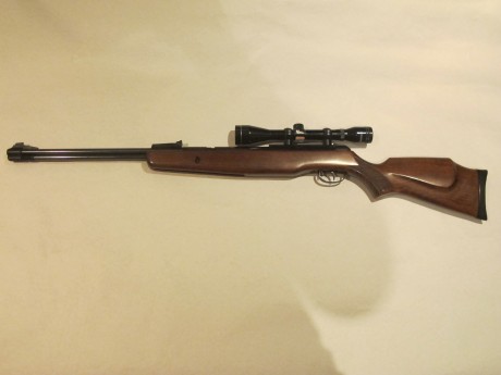 Hola compañeros, hace tiempo que me compre una BSA SilversStar en calibre 4.5 cuando era un mozo y todavia 42