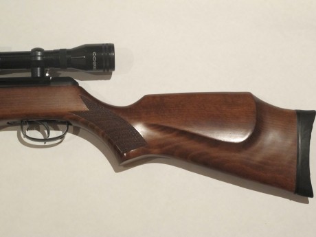 Hola compañeros, hace tiempo que me compre una BSA SilversStar en calibre 4.5 cuando era un mozo y todavia 40