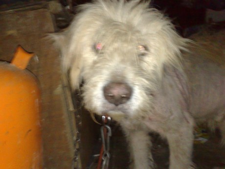 Hola a tod@s.
Abro este hilo para pedir que ayudeis en lo que podais, da igual si son mantas, pienso, 21