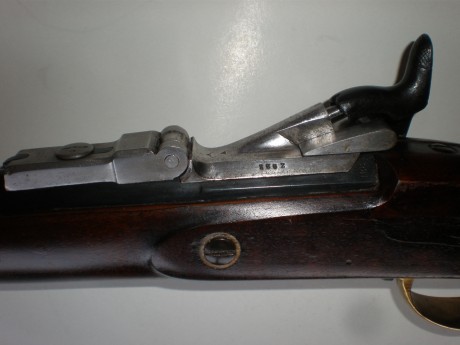 Me he hecho con esta pieza, alguien sabe que comía este bicho. Está impecable. Es igual que un Springfield 21