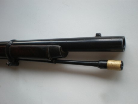 Me he hecho con esta pieza, alguien sabe que comía este bicho. Está impecable. Es igual que un Springfield 42