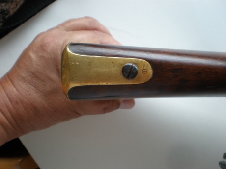 Me he hecho con esta pieza, alguien sabe que comía este bicho. Está impecable. Es igual que un Springfield 40