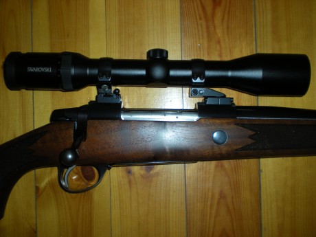 hola compañeros,tengo un problema,compre tiempo atras un rifle con bases apel y tengo visores con anillas 100