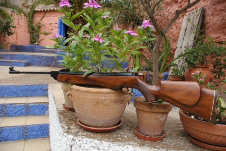 Dudo que recoja muchos balines jejeje.Los disparos son con una cometa fenix 400 compact star de 5.5 a 30