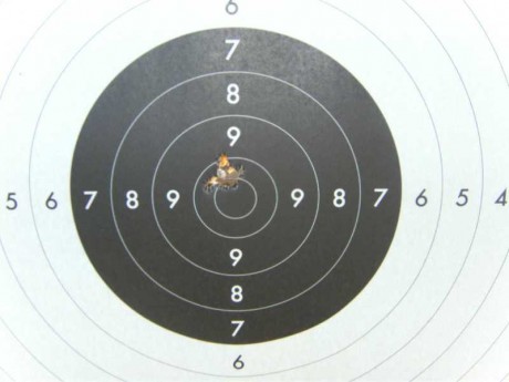 Buenas tardes, si algún compañero ha recargado munición de rifle con este tipo de pólvora le quedaría 11