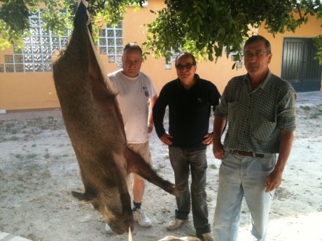 Buenas tardes, si algún compañero ha recargado munición de rifle con este tipo de pólvora le quedaría 10