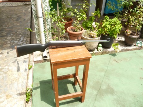 Hola a todos;

Me gustaría compartir informaciones sobre una carabina que tengo, que quizás sea buena 01