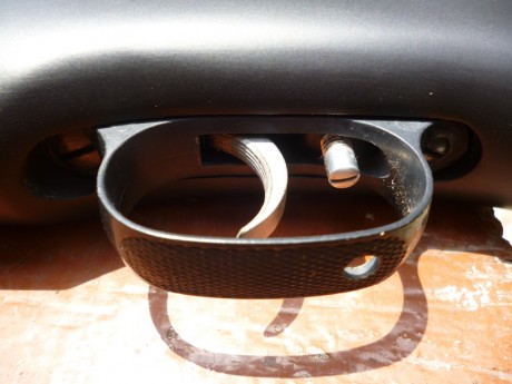 Hola a todos;

Me gustaría compartir informaciones sobre una carabina que tengo, que quizás sea buena 10