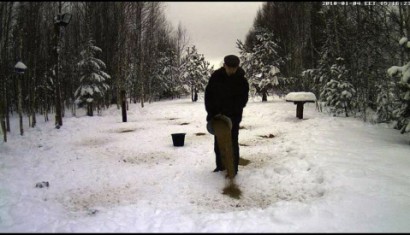 Ya tenemos otra vez la webcam en directo desde  Estonia :
 http://www.looduskalender.ee/en/node/6113 130