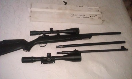 Se vende sako quad con tres cañones.
22 lr heavy barrel
22 lr con miras abiertas
17 hmr heavy barrel
Cada 01