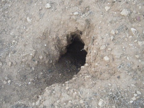 Hola a todos. Abro este hilo con la intencion siguiente:

Pretendo que los cazadores del foro pongmos 72