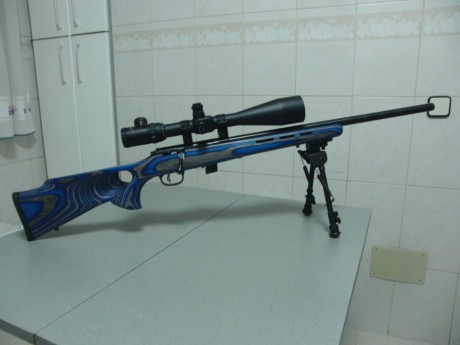 Pues aqui os presento la modificacion que he realizado a mi carabina, puesto que la culata que trae de 02