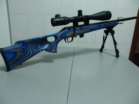 Pues aqui os presento la modificacion que he realizado a mi carabina, puesto que la culata que trae de 00