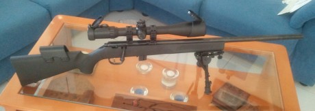 Pues aqui os presento la modificacion que he realizado a mi carabina, puesto que la culata que trae de 102