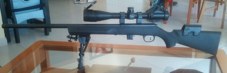 Pues aqui os presento la modificacion que he realizado a mi carabina, puesto que la culata que trae de 101